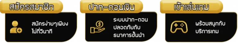 วิธีเข้าเล่น